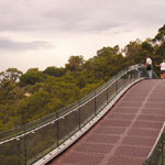 28the-treetop-bridge