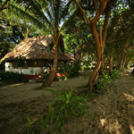  Pandan Island