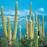 Mexico_18