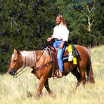 Horse_6