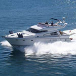 Johnson 1