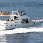 Star 1